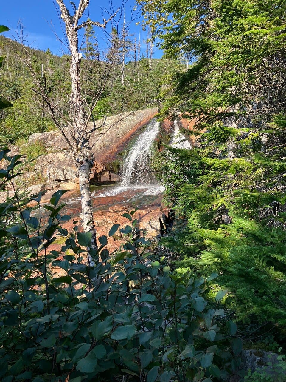Southeast Brook Falls
