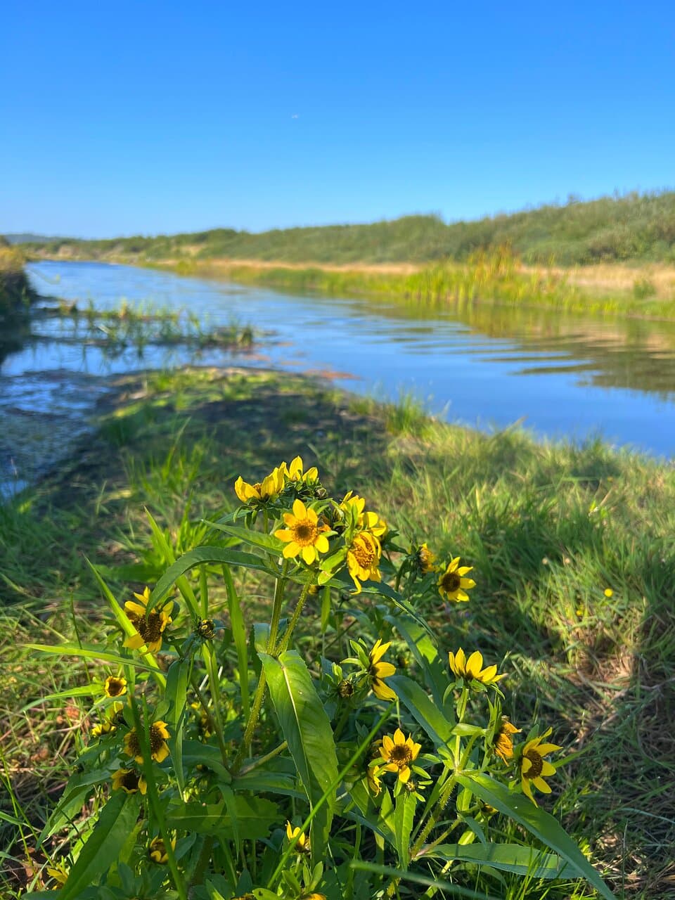 Griffiths-Priday Ocean State Park