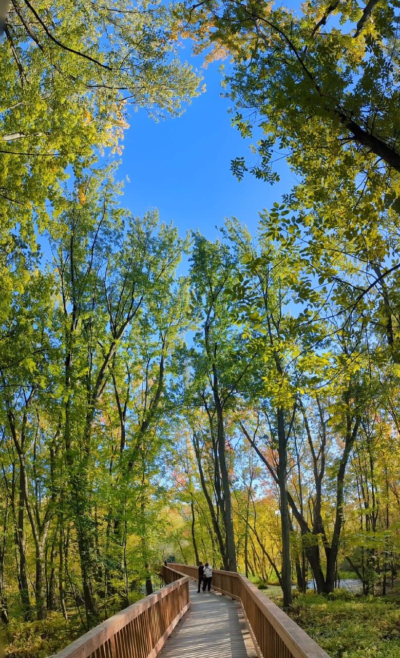 Parc écologique de l’Anse-du-Port Nicolet