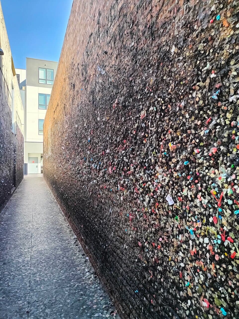 Callejón de los chicles en San Luis Obispo