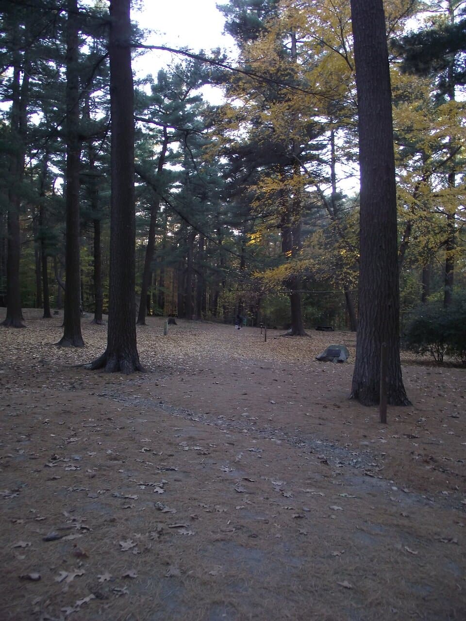 MA - NEWBURYPORT – MOSELEY WOODS PARK - TRAILHEAD