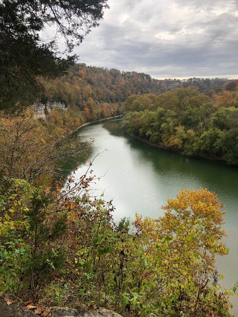 Edith L. Moore Nature Sanctuary