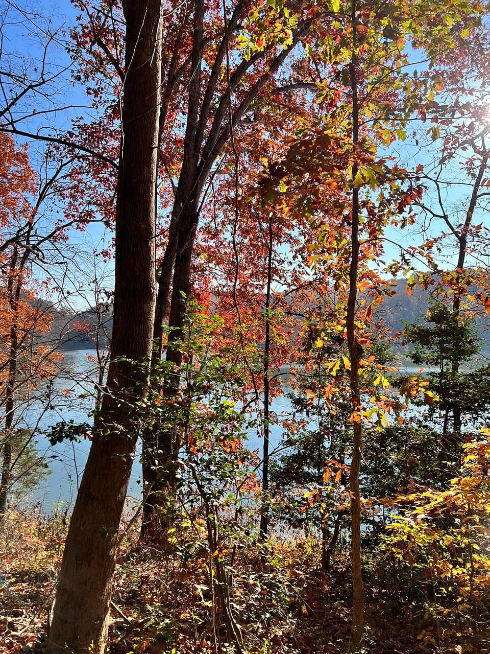 Lake Zwerner Yahoola Creek Reservoir
