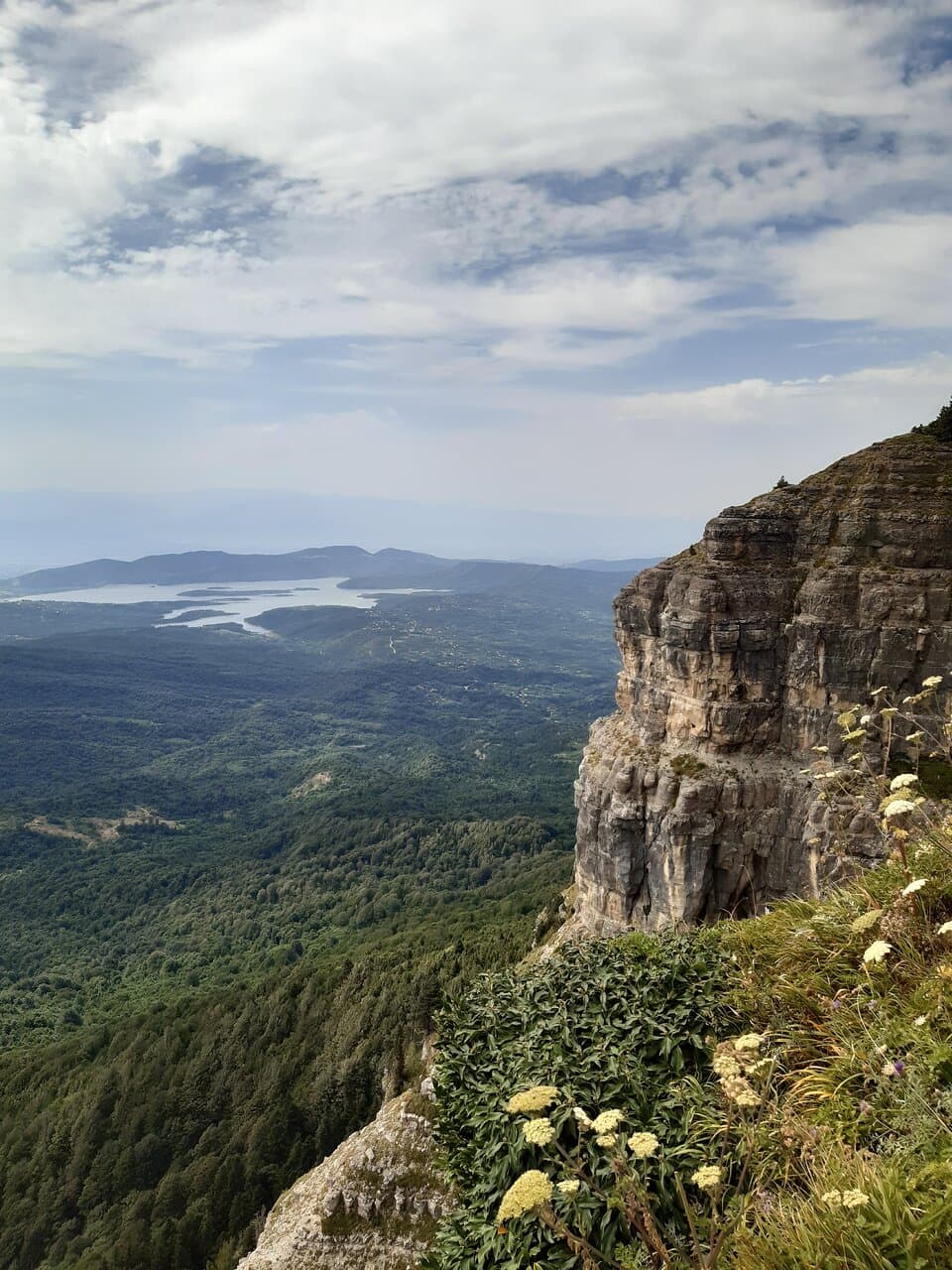 View