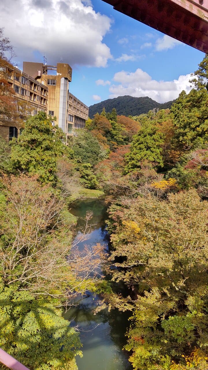 あやとり橋からの紅葉