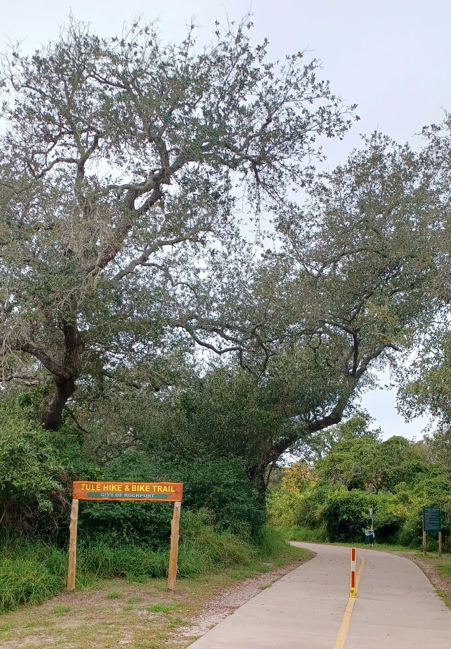 Peaceful place to walk and enjoy the beautiful nature!