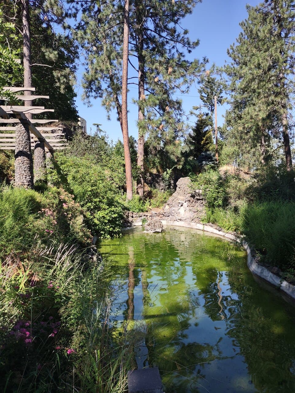 Pond