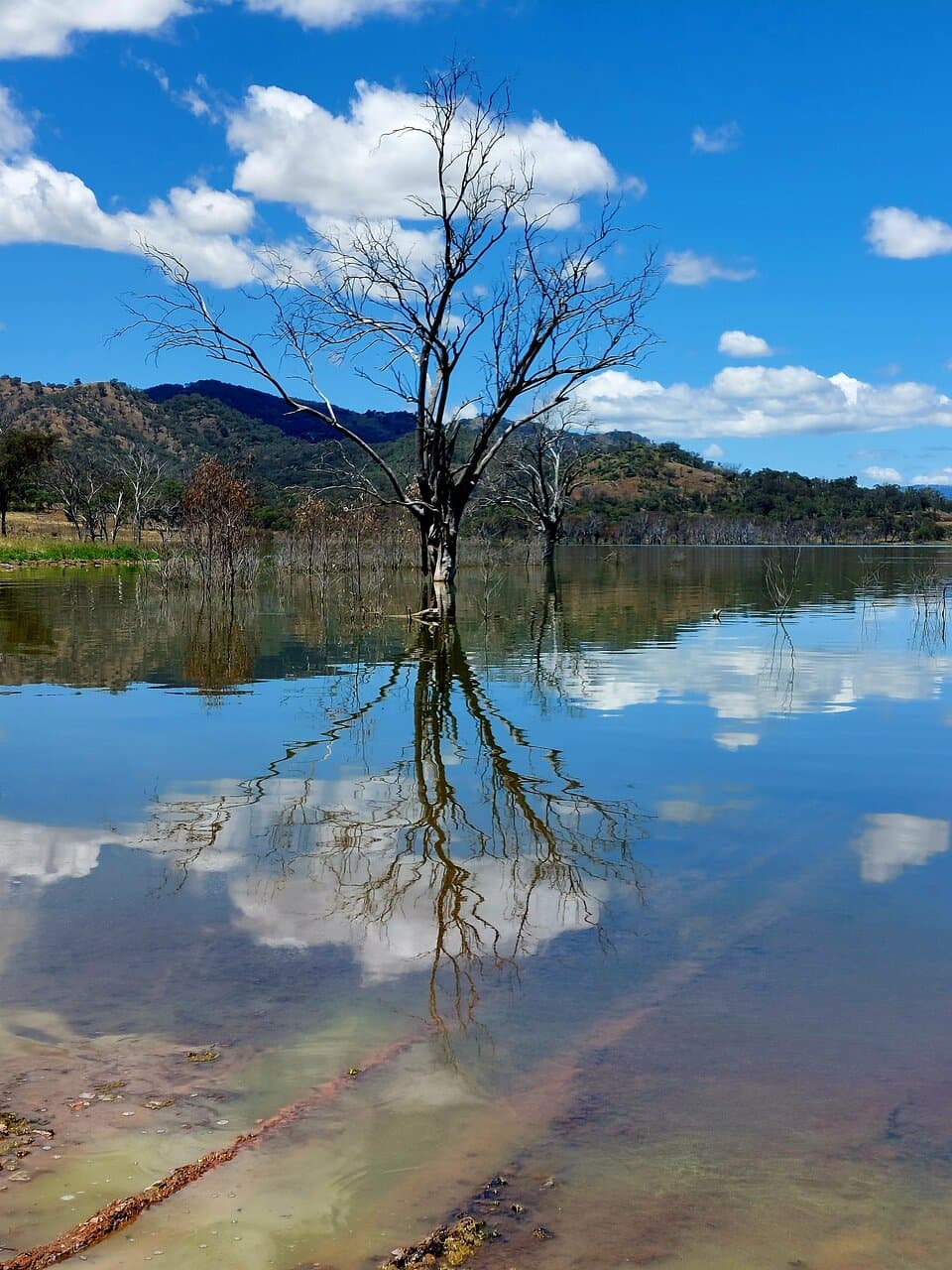 Chaffey Dam
