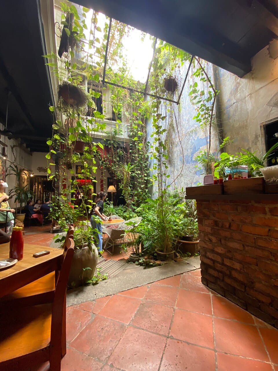 The Baboon House