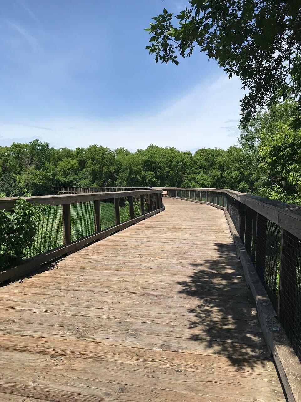 Rush Pond Trail