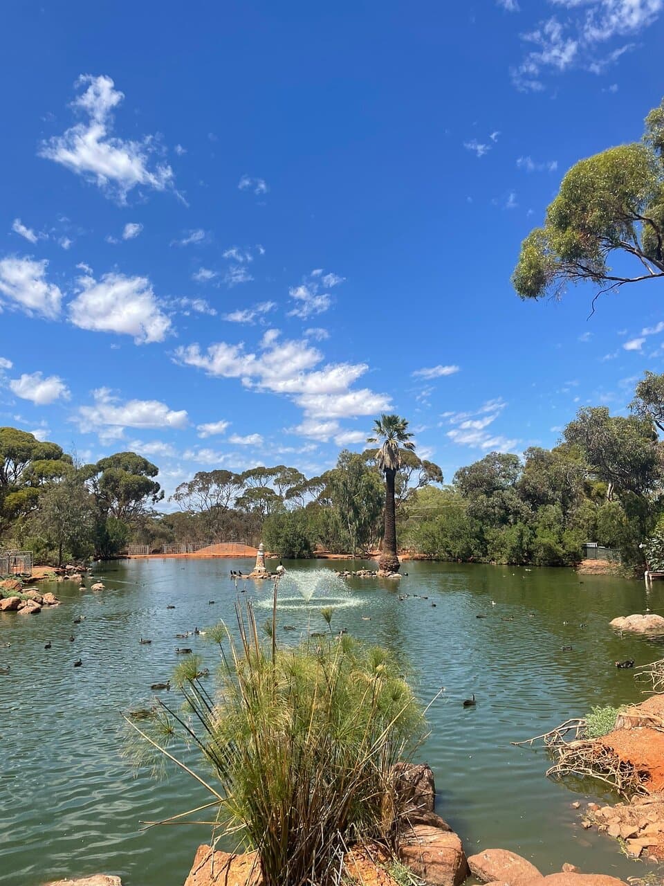 Hammond Park