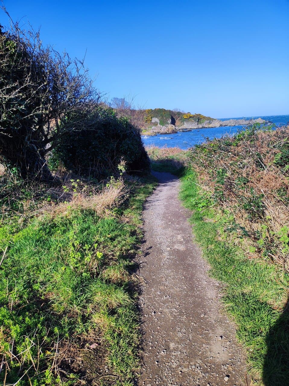 Orlock Point