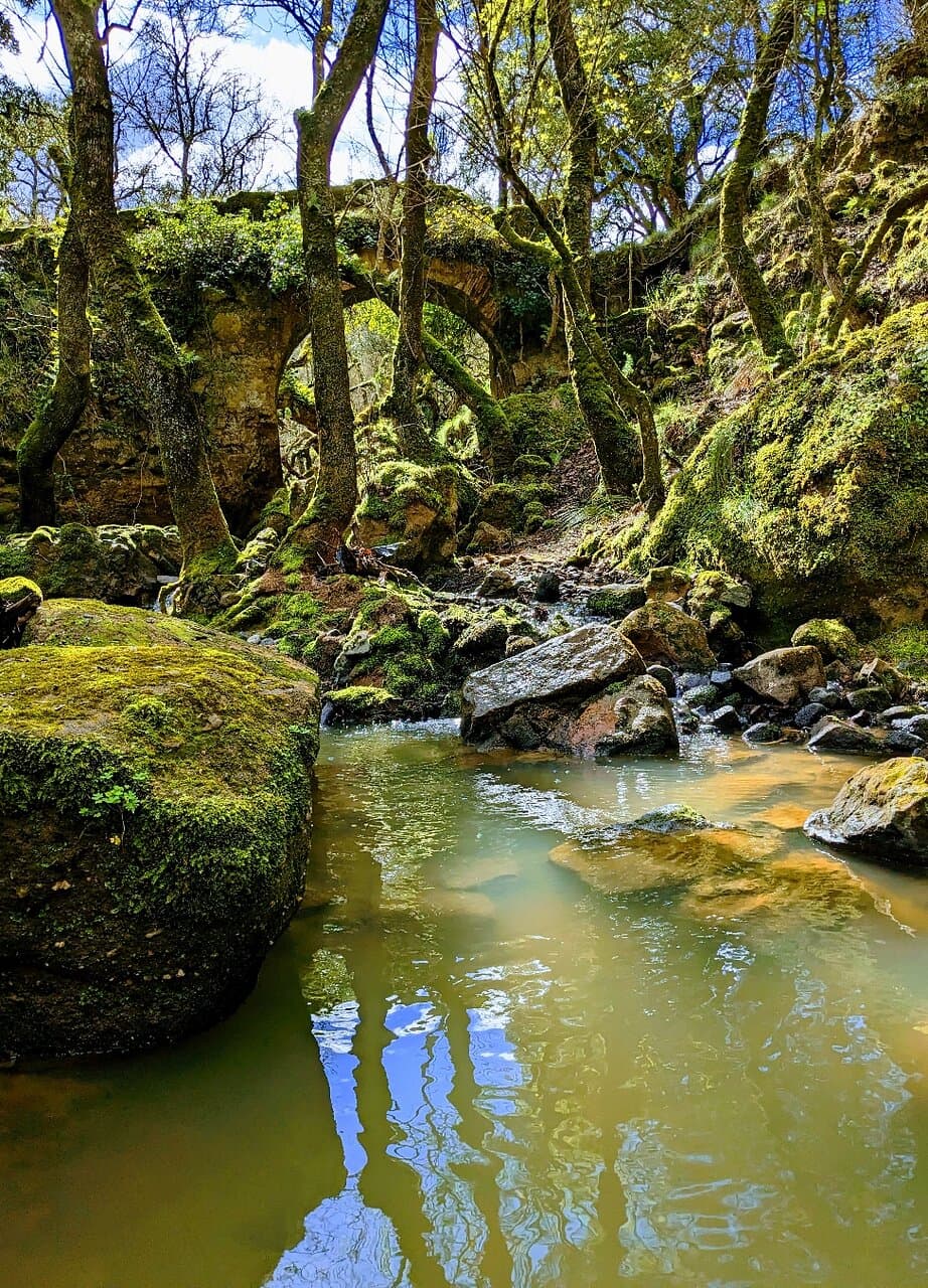 Tapada Nacional de Mafra