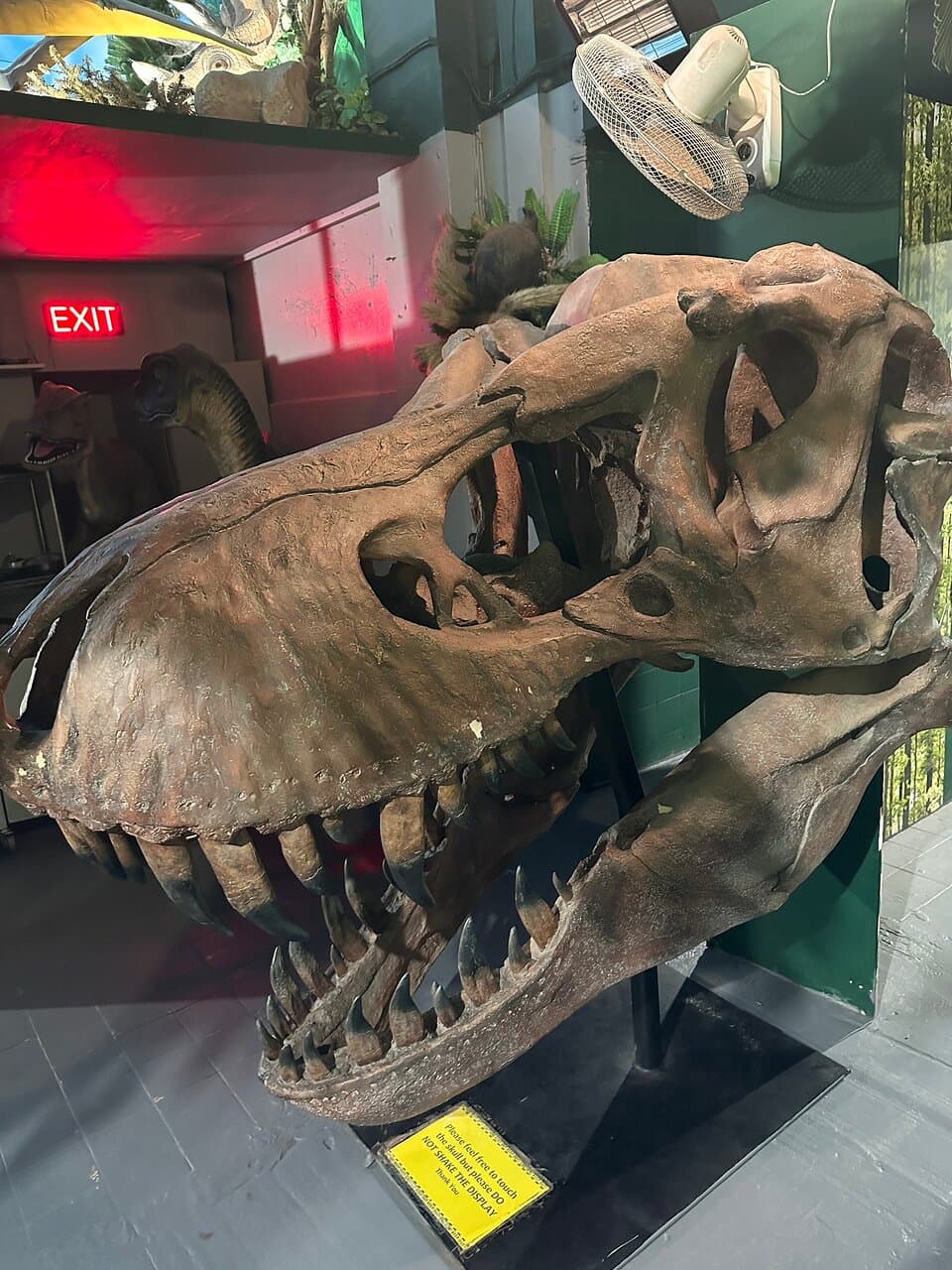 Dinosaur World Torquay