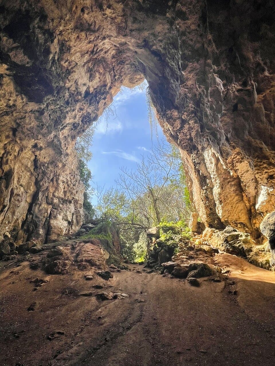Cova des Coloms