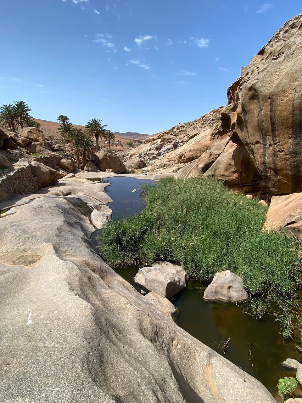 Peña Trail