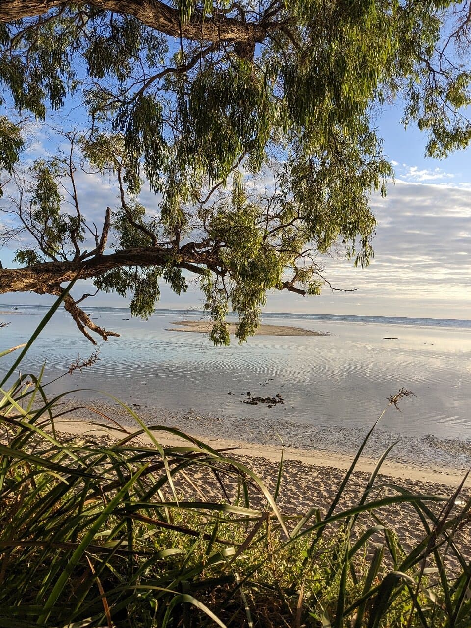 Dunsborough Foreshore
