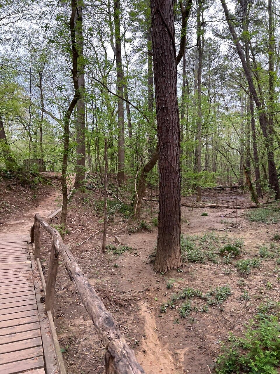We walked the Woodland Loop Trail, not realizing another trail was across a street. We did see the beehives and community garden.