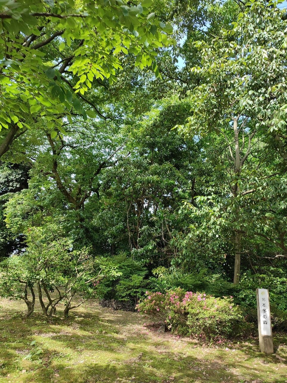風景
