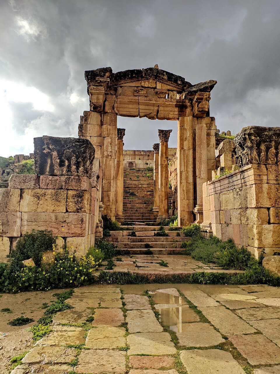 The Cathedral