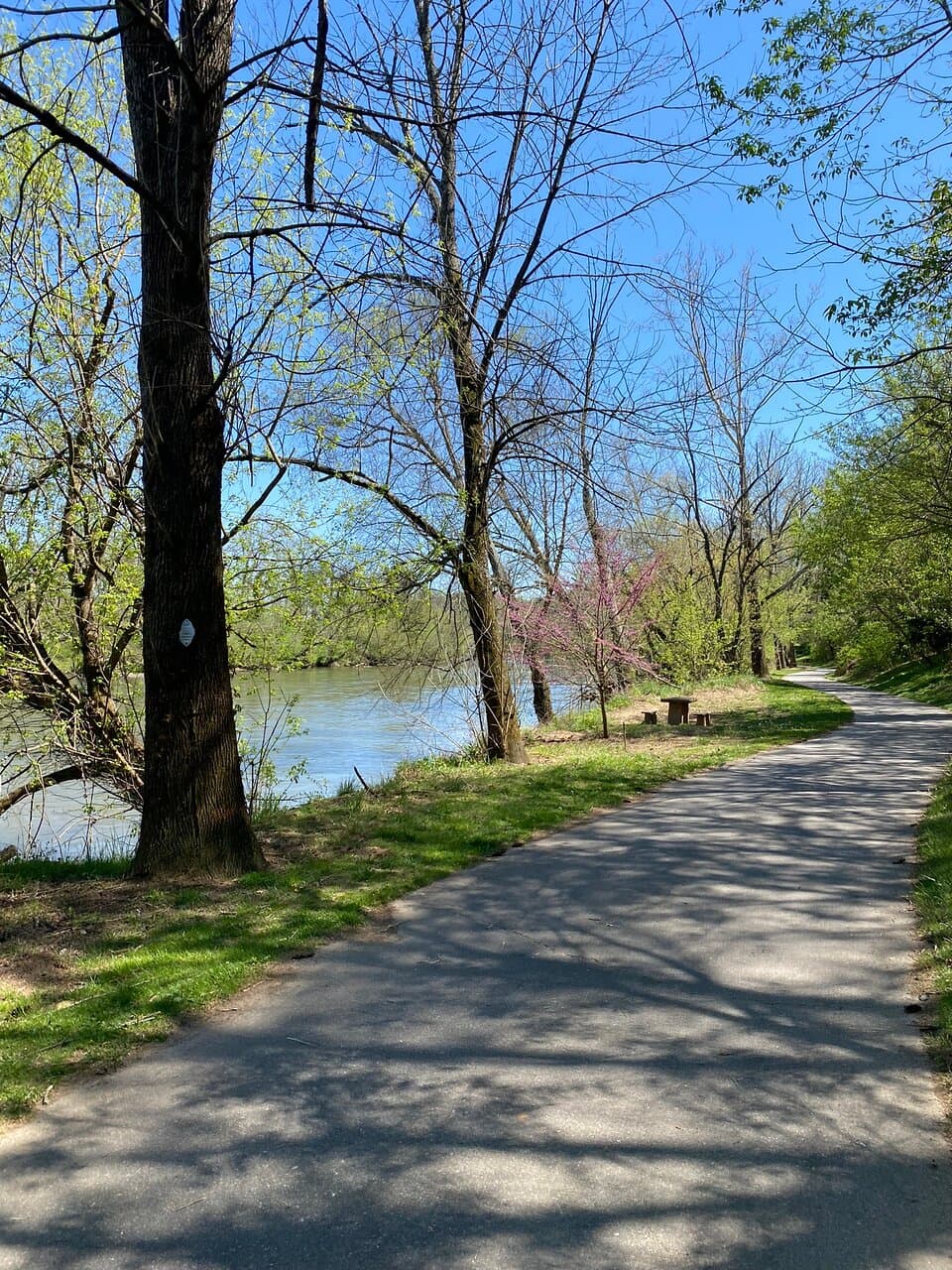 French Broad River Park