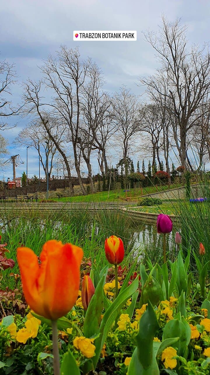 Trabzon Botanic Park
