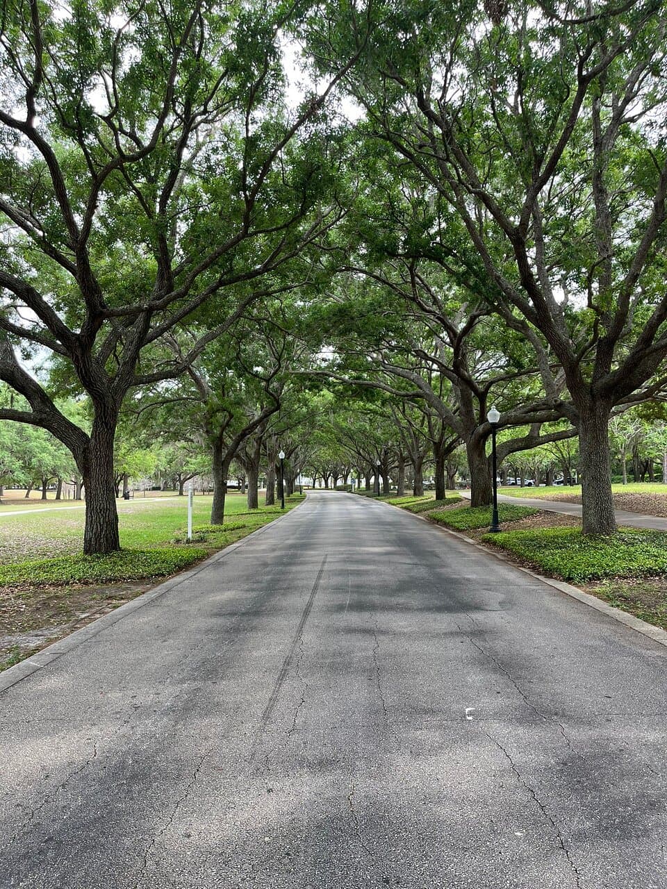 Explore Cypress Grove Park