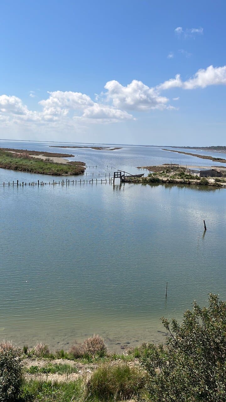 Divjaka-Karavasta National Park