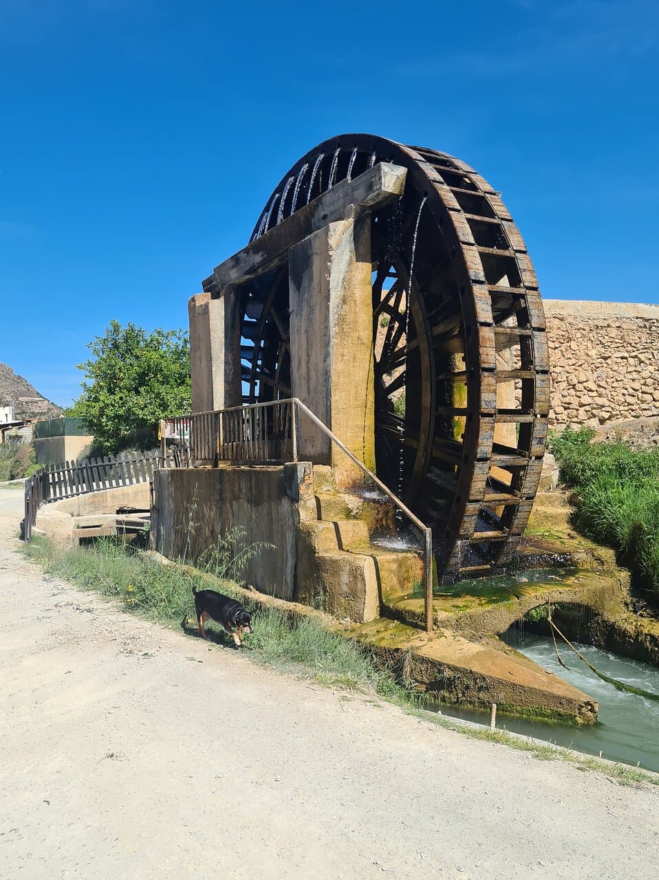 Abarán Waterwheels Norias de Abarán