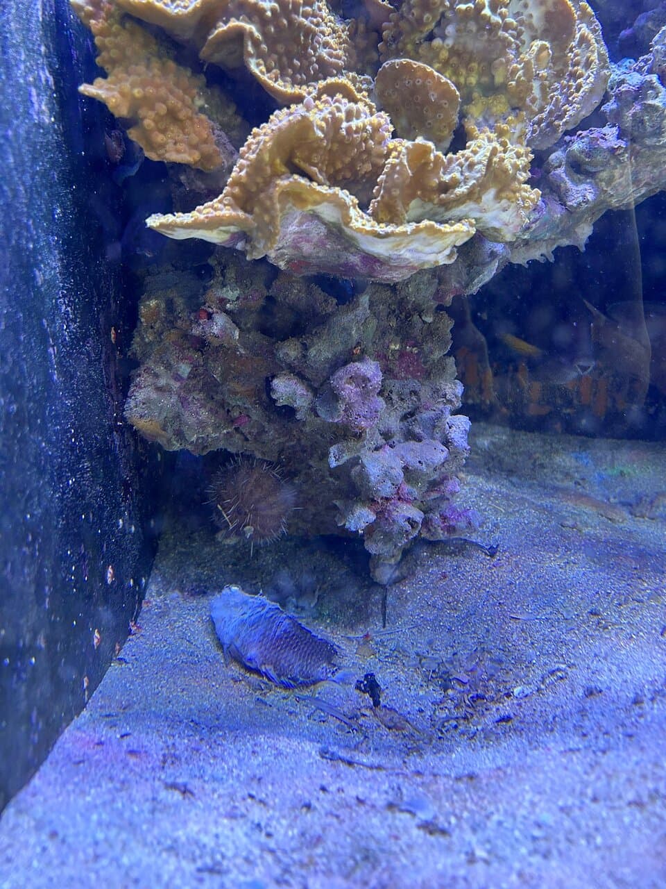 Marine Science Station Aquarium