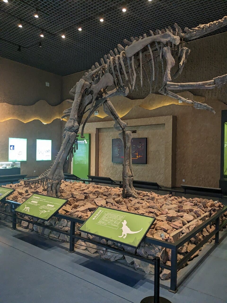 Anhui Museum