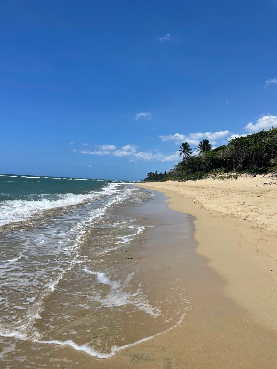 Encuentro Beach Cabarete