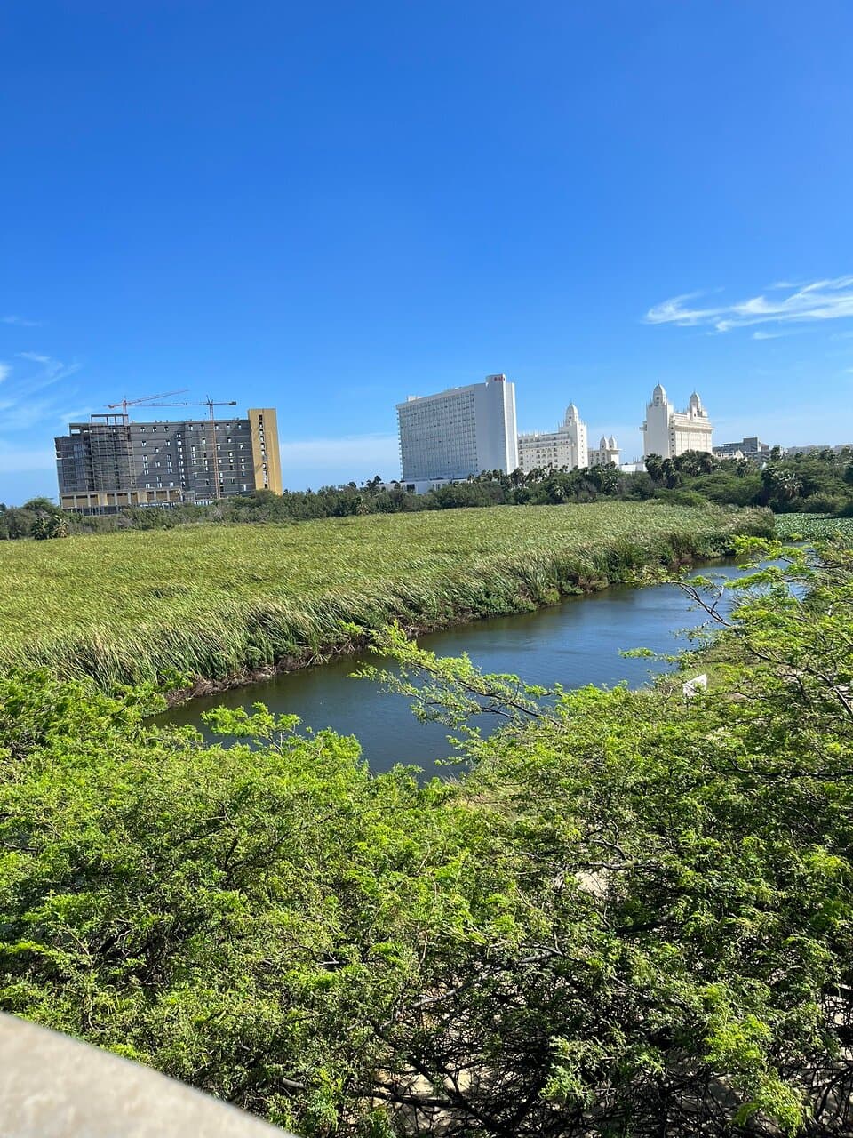 Bubali Bird Sanctuary