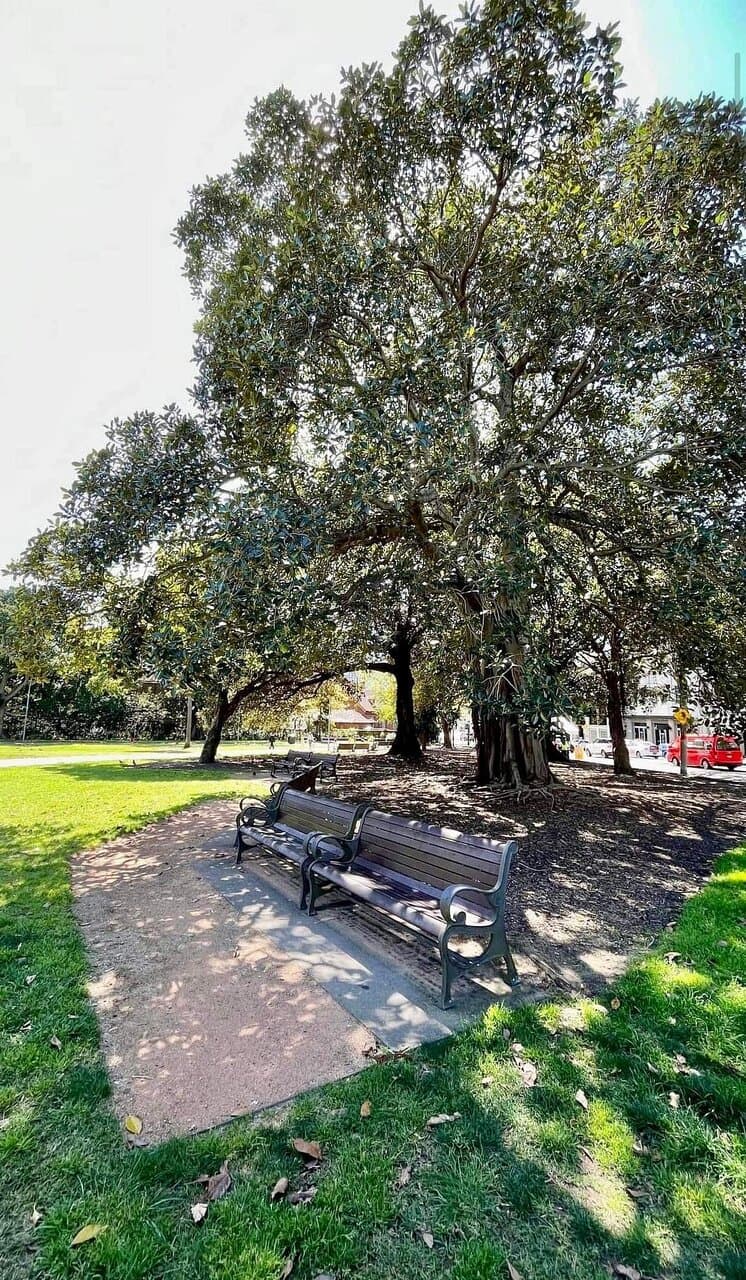 Great park