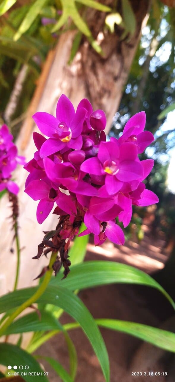 Lindo demais 🌼🌼😍😍