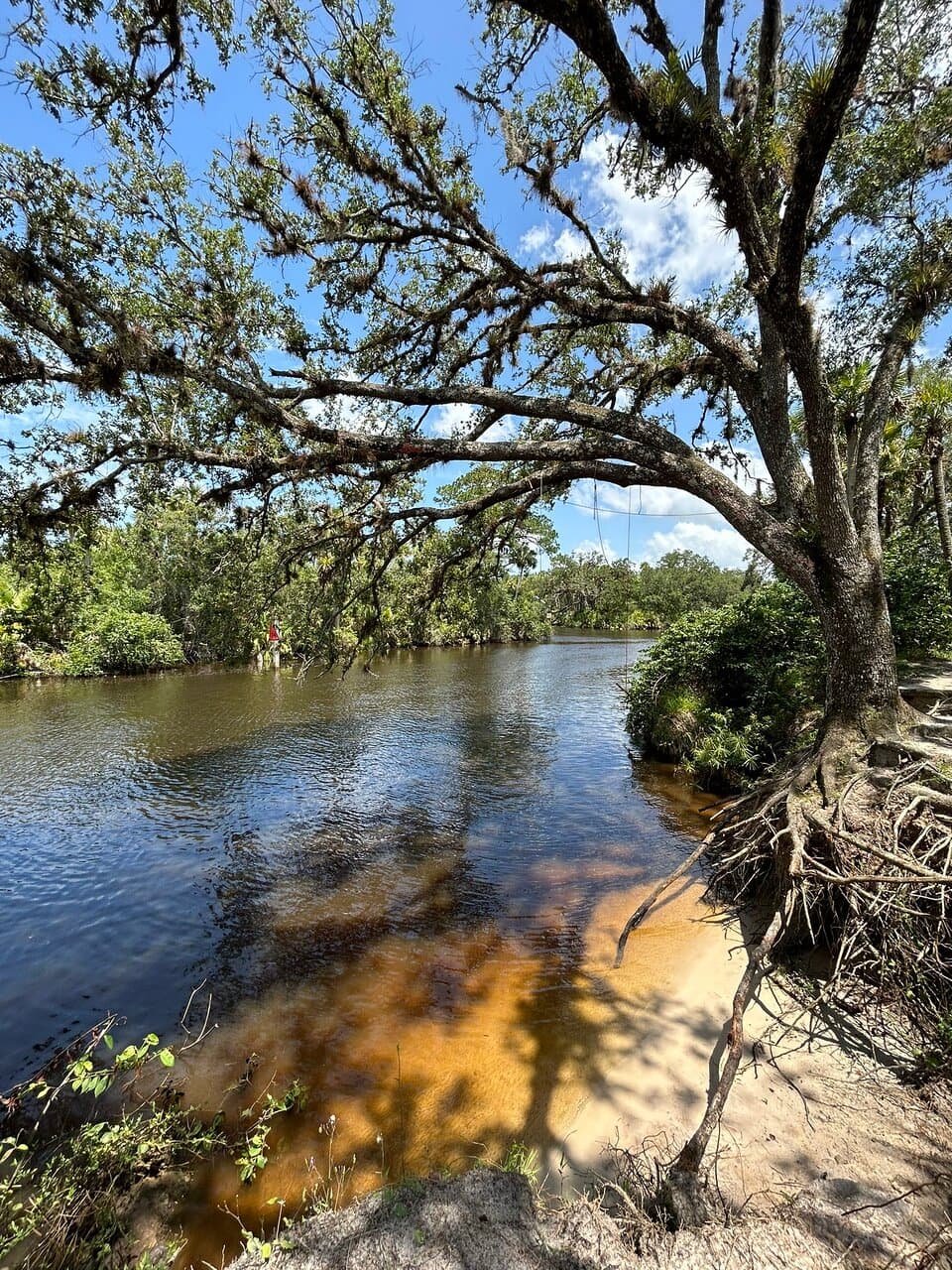 Oxbow Eco Center