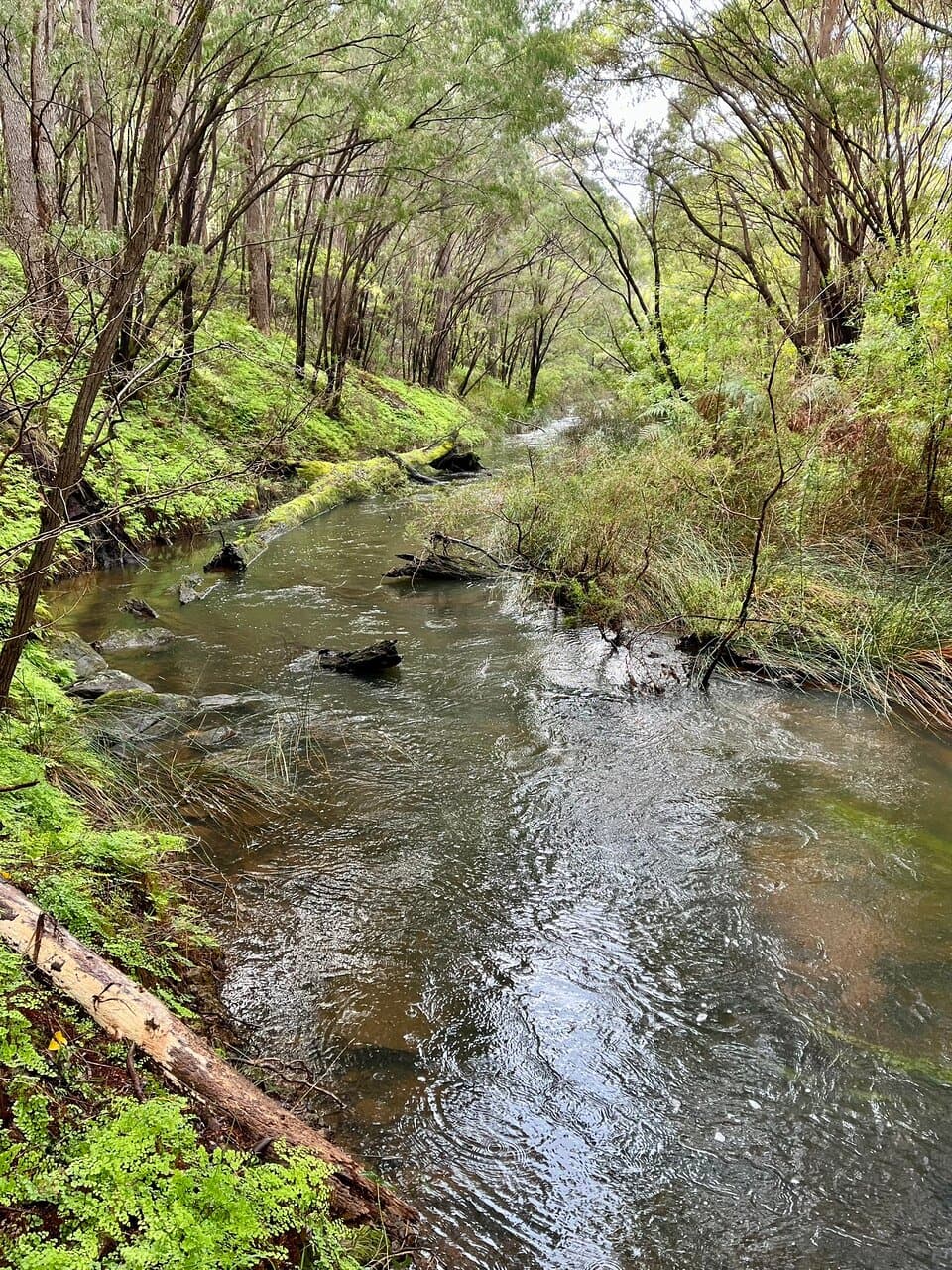 Wooditjup National Park