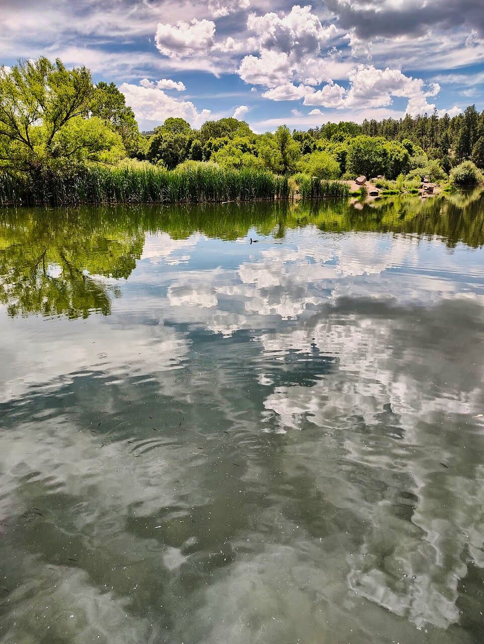 Lake Roberts