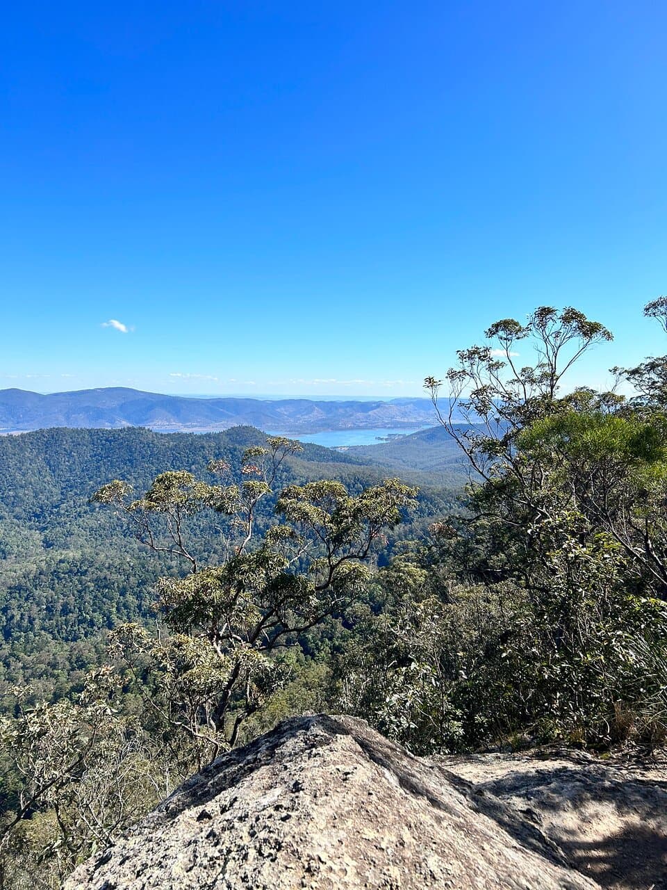 D'Aguilar National Park Brisbane