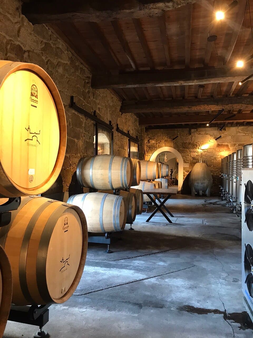 Bodega del Palacio de Fefiñanes