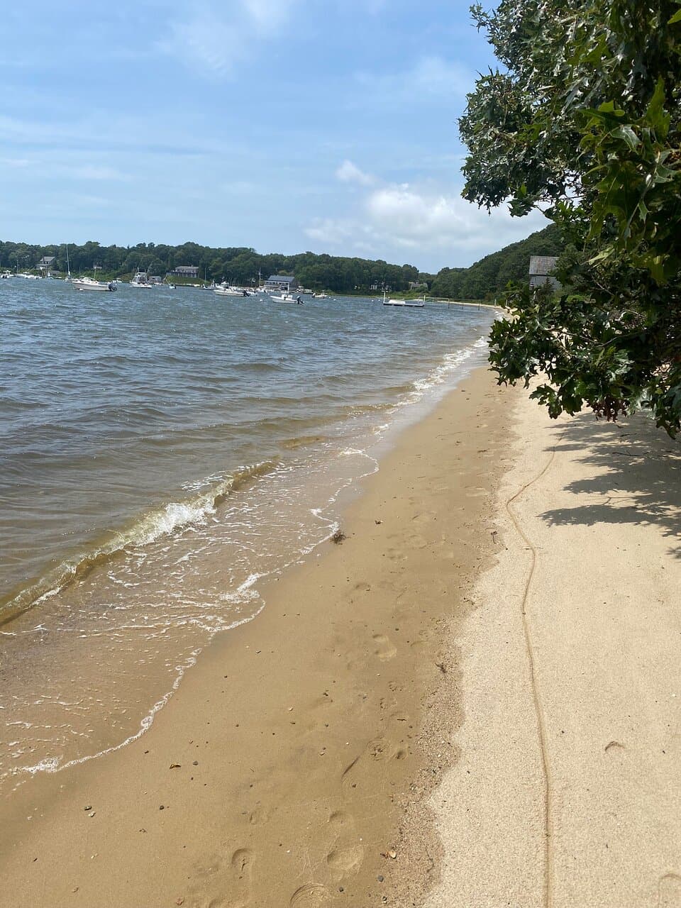 Path to water’s edge