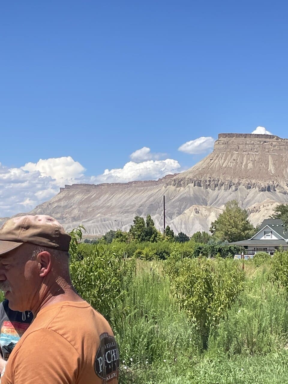 Suncrest Orchard Alpacas