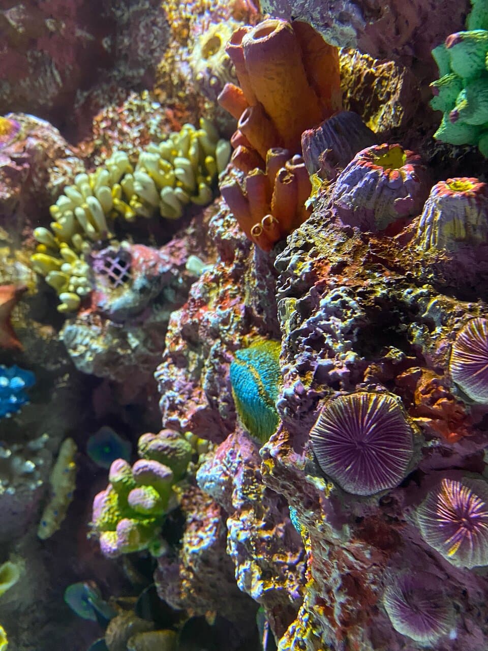 Trabzon Aquarium