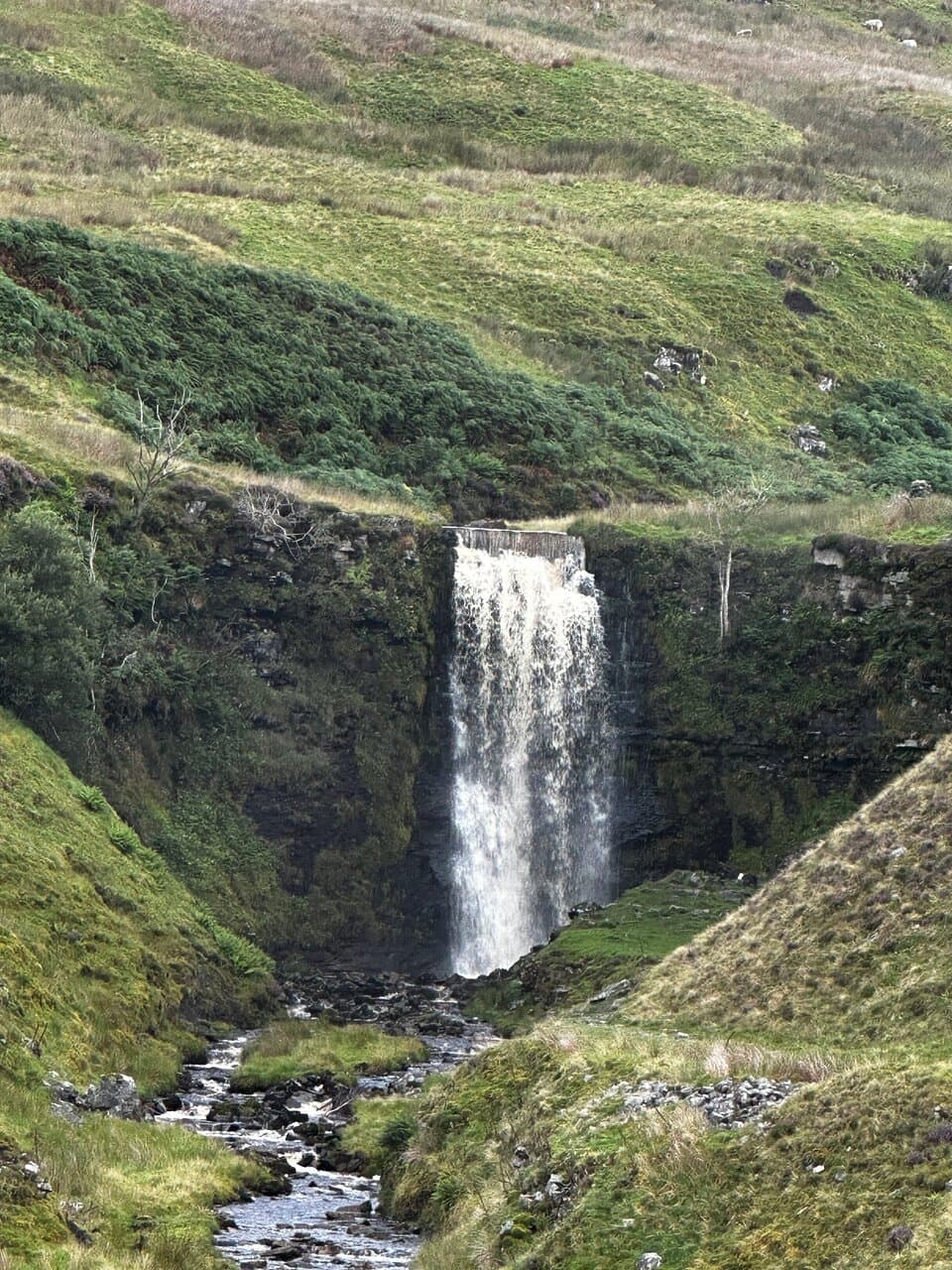 Whernside