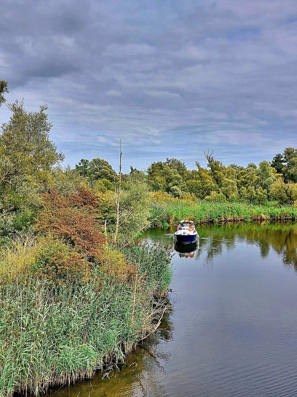 Nature Reserve De Biesbosch, Drimmelen, Holland, August 2023