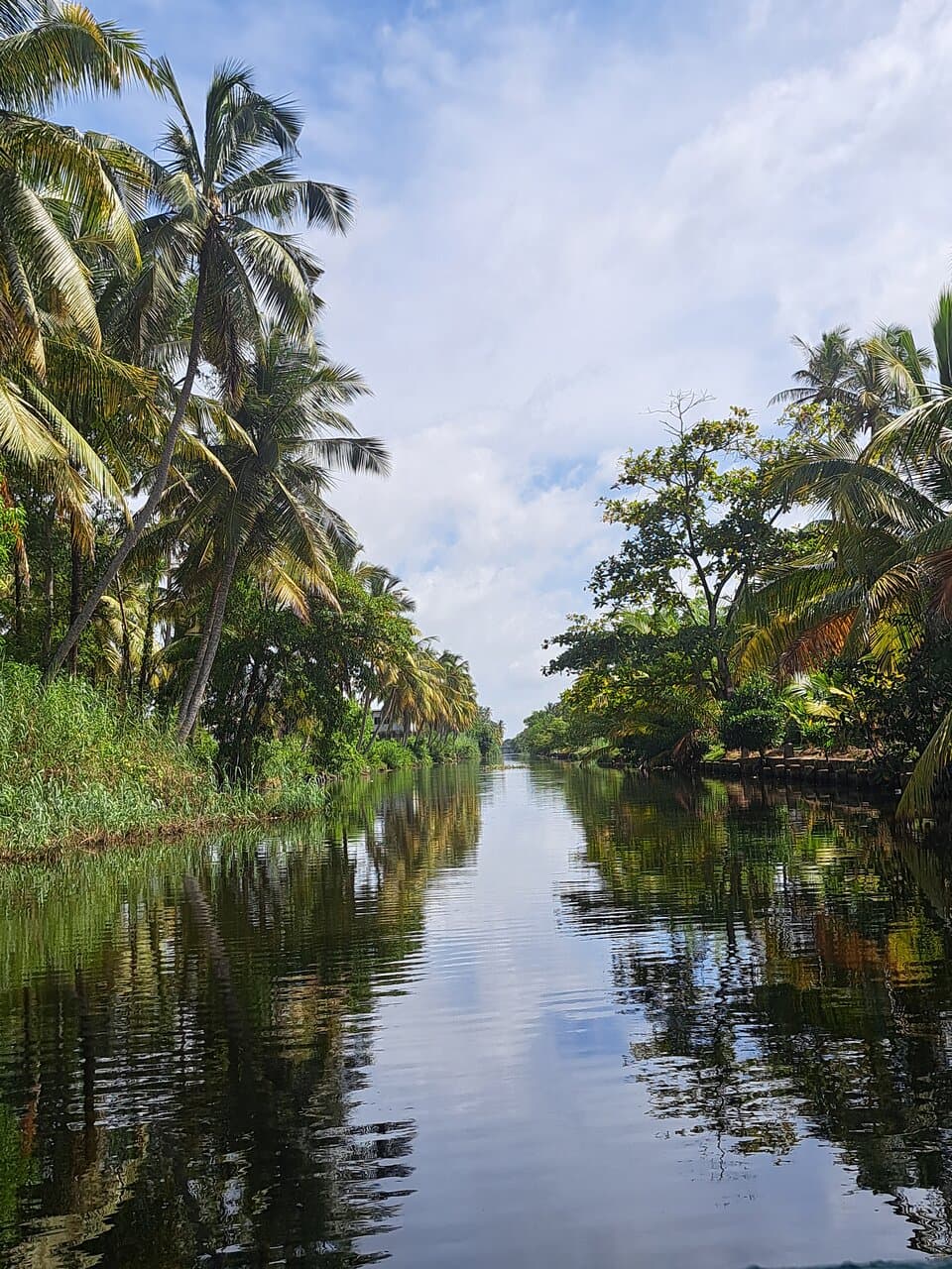Muthurajawela Wetland Sanctuary
