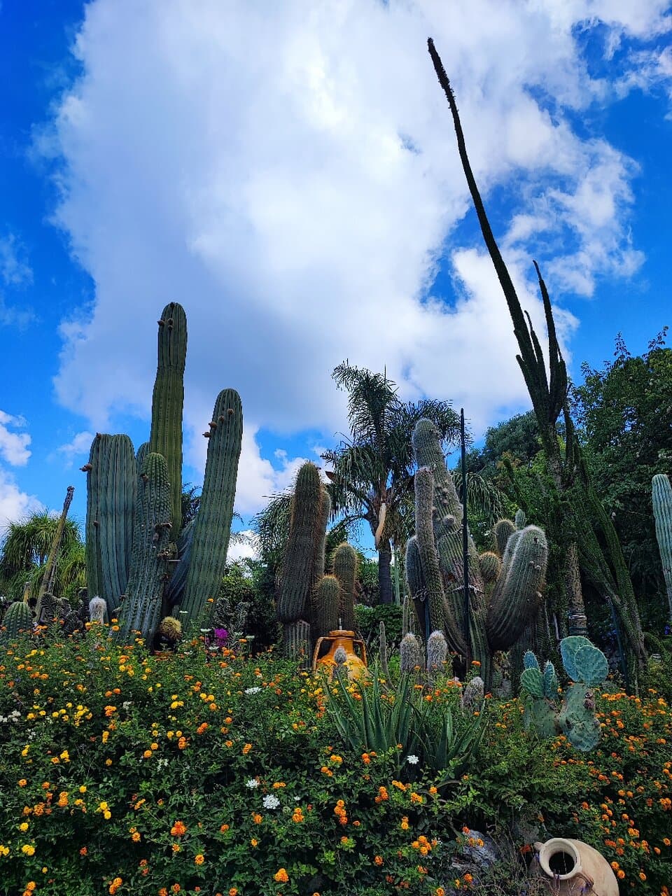 Giardini Ravino