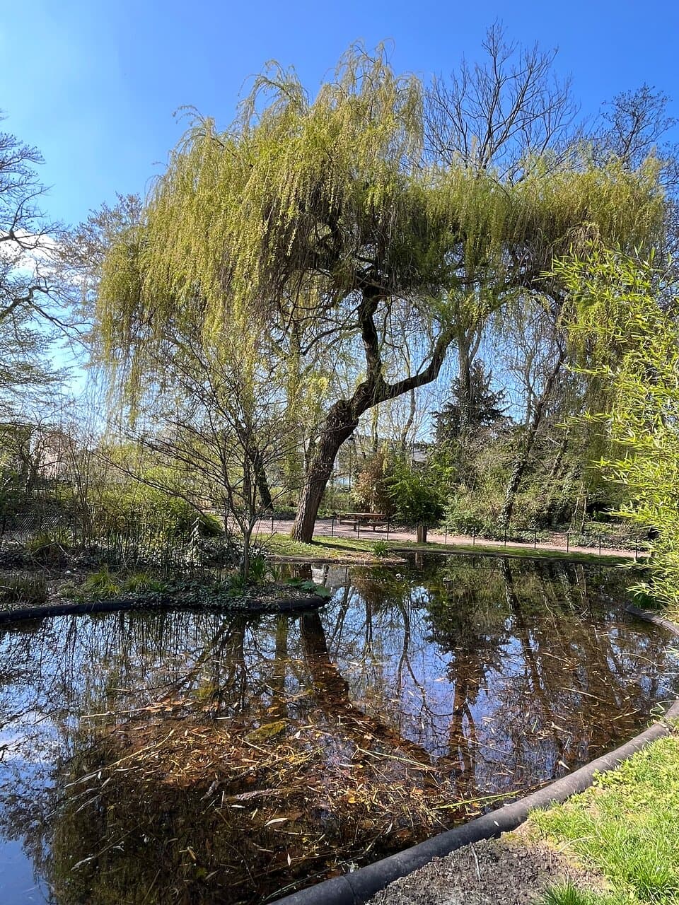 Parc de la Meurthe