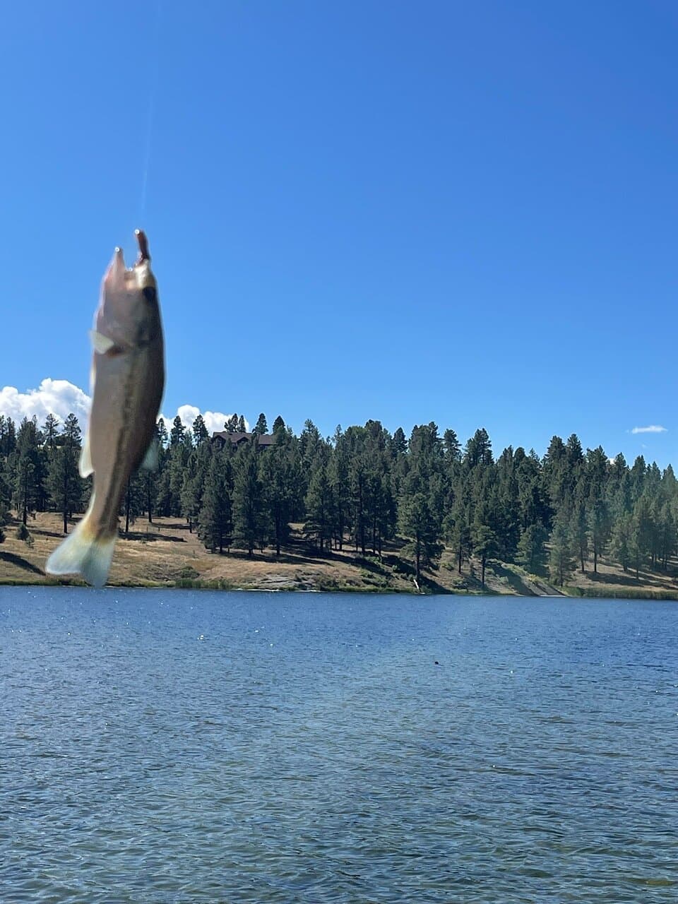 Echo Canyon Reservoir, CO, September 2023