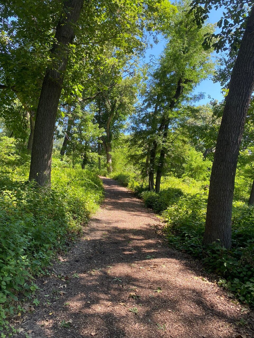 Exploring Indian Creek Nature Center